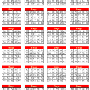 Printable Bingo Card Set