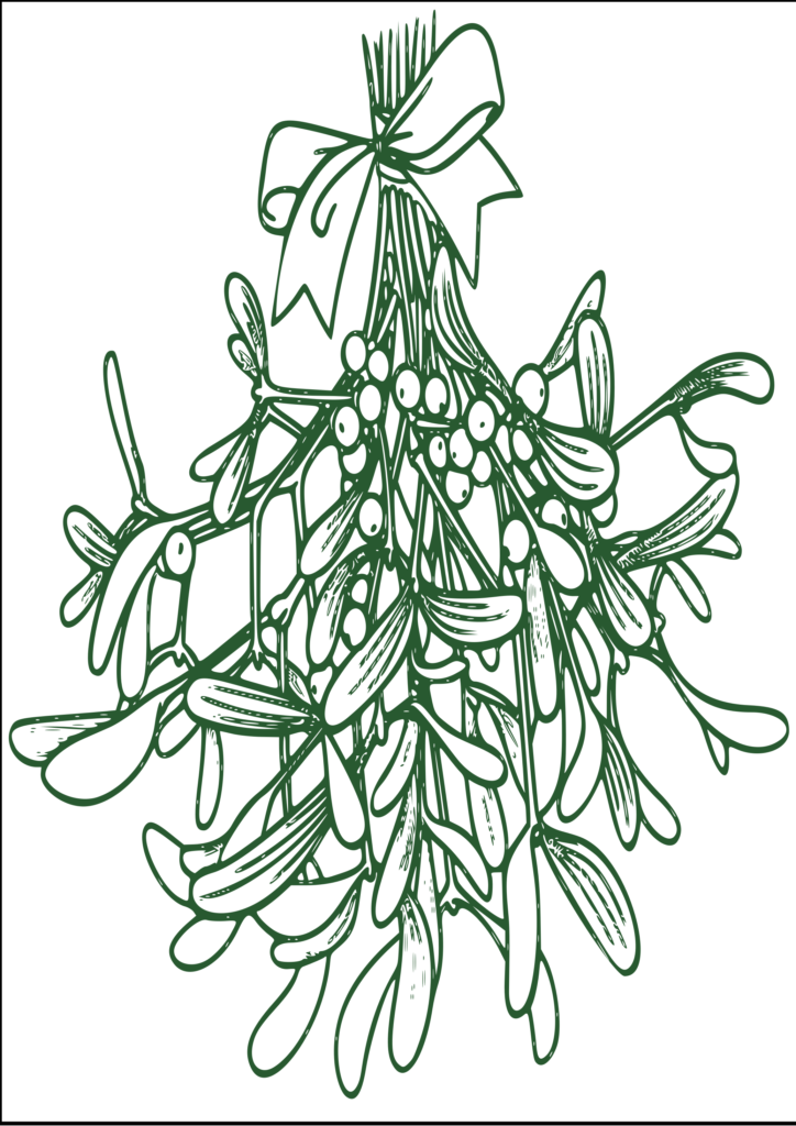 christmas mistletoe drawing realistic