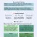 Mindfulness Template