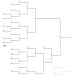11 Team Printable Double Elimination Bracket