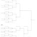20 Team Printable Tournament Bracket