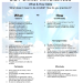 What and How DBT Skills Worksheet